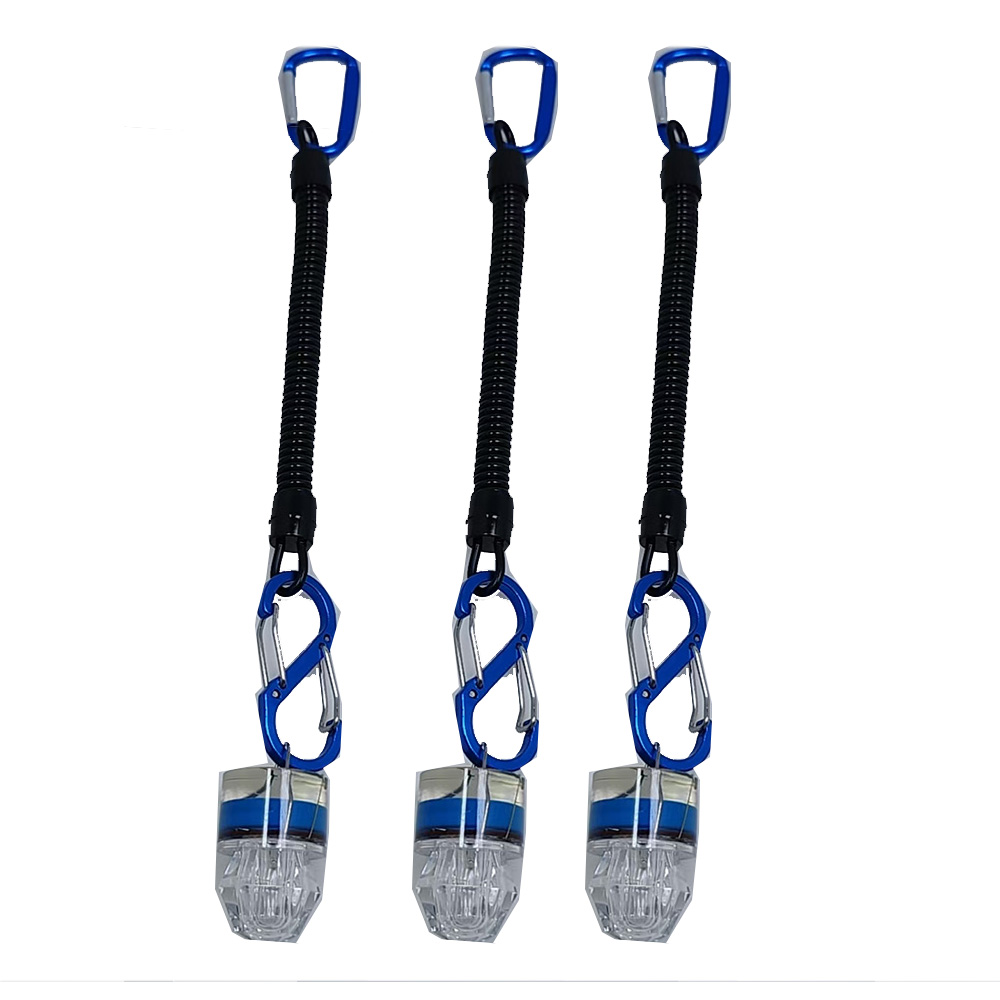 2-3 Stück LED-Angellichter mit – Fish Alarm Bewertung und Preis