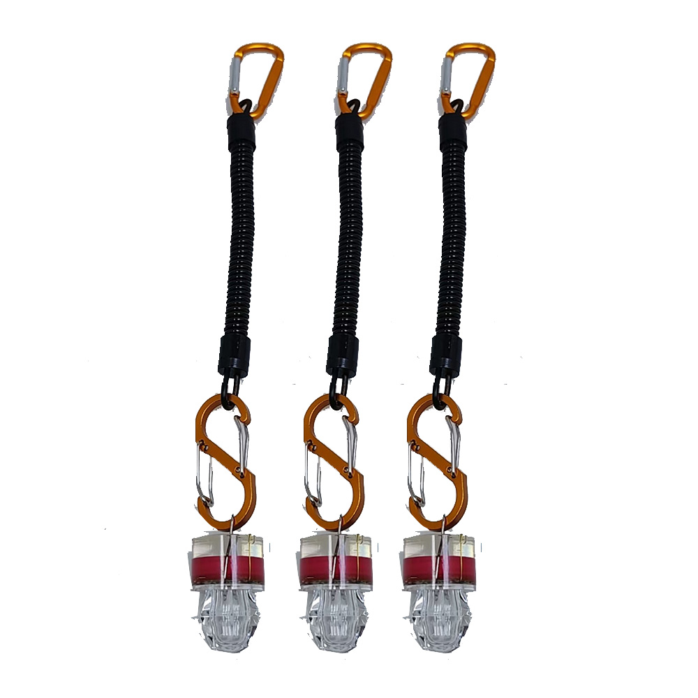 2-3 Stück LED-Angellichter mit – Fish Alarm Bewertung und Preis